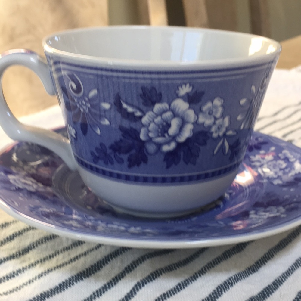 The spode blue room collection botanical cup and saucer